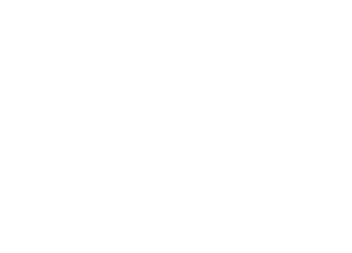 Lê Bru
